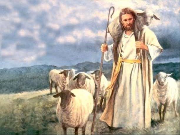 Perfect Shepherd