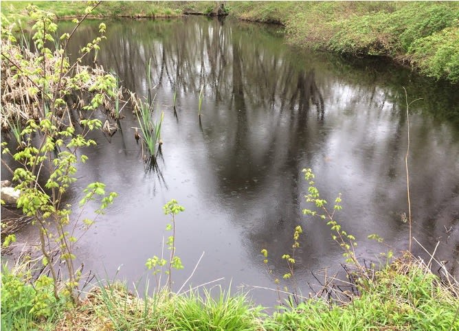 Still Waters