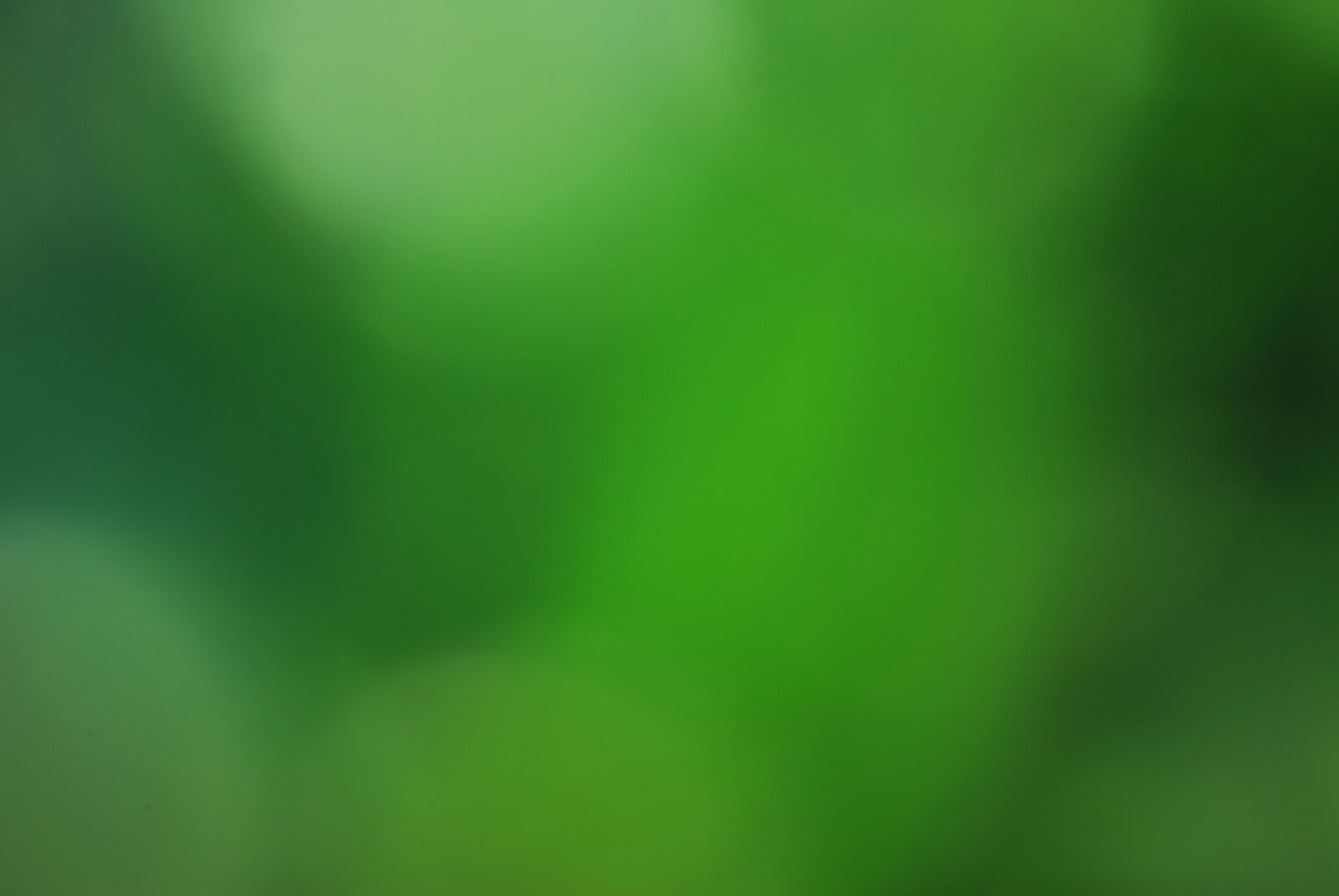 Two Anointed Hands Handcrafted Goods in Los Angeles