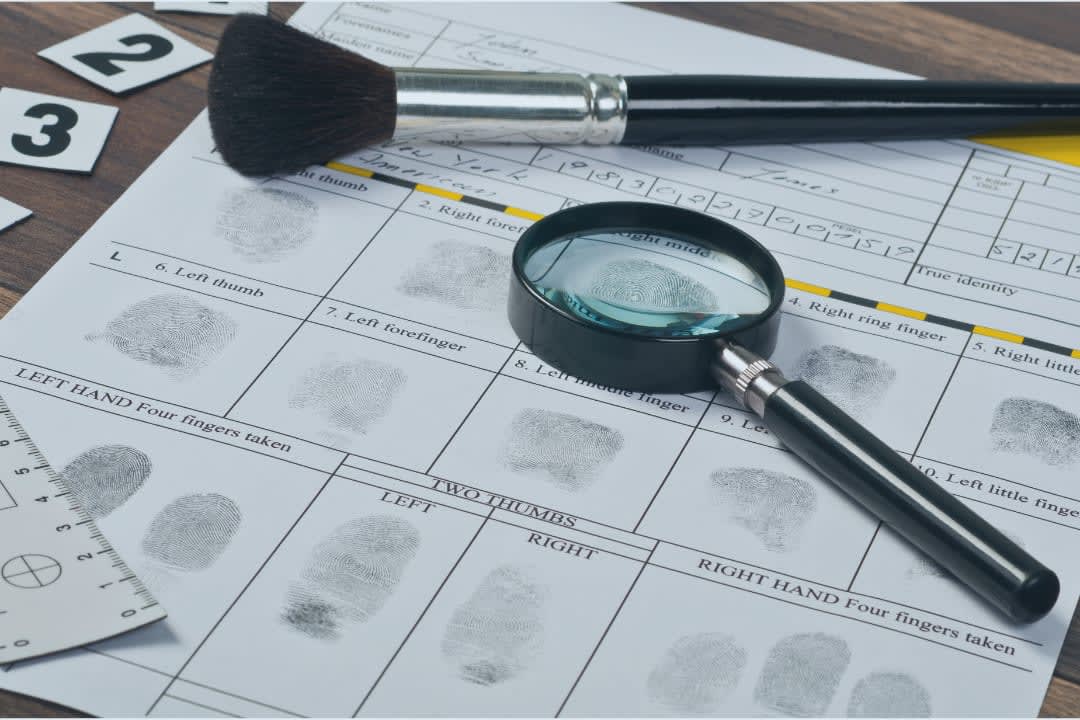 Fingerprint Cards Fingerprint Services Fingerprint Dynamics