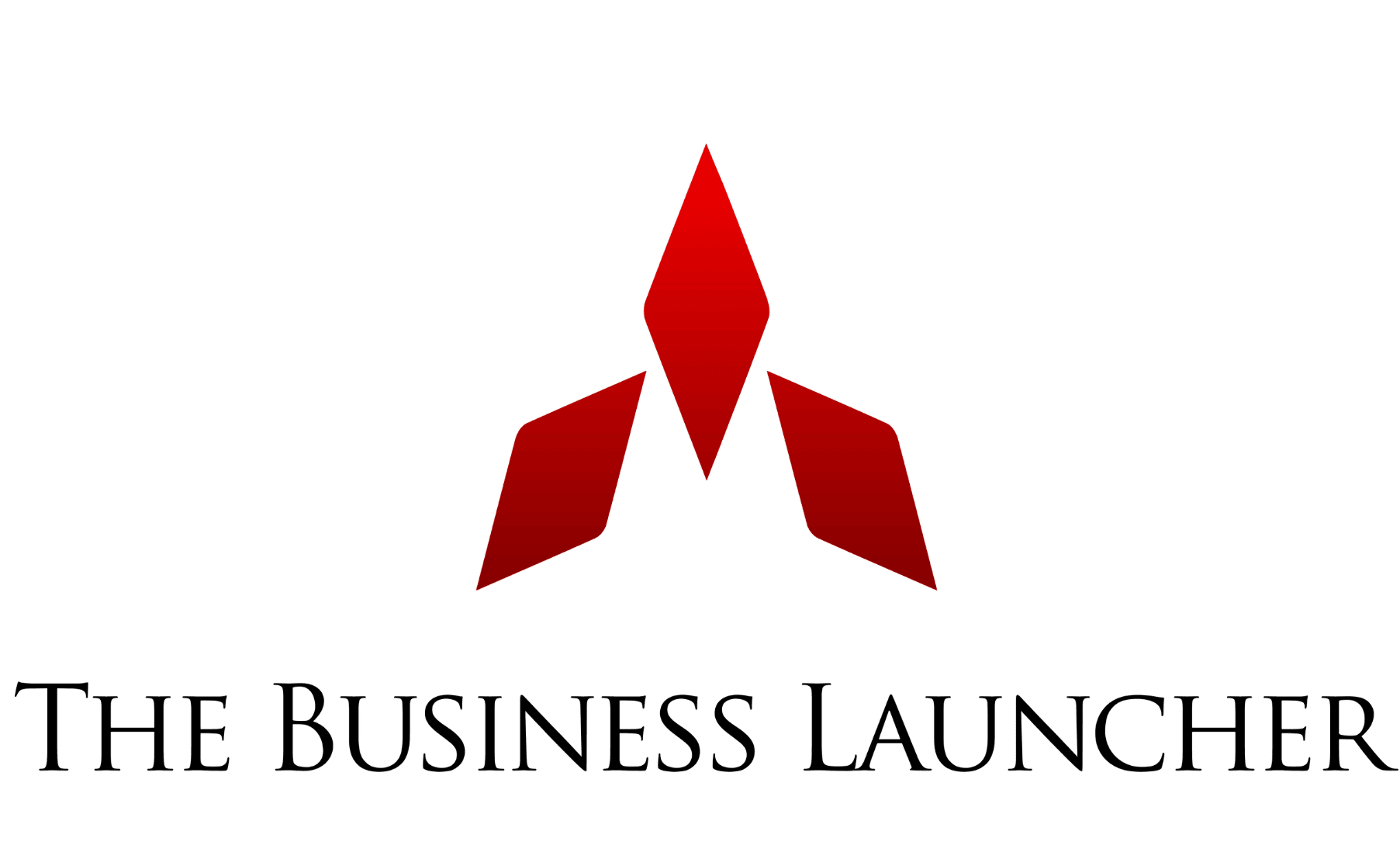 The Business Launcher LLC