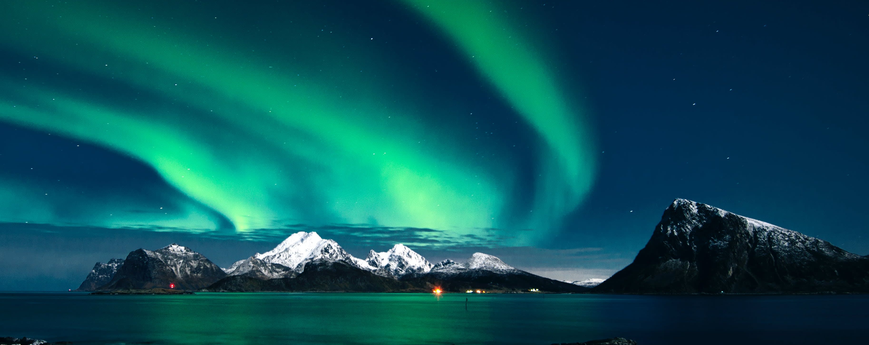 Forget Me Not Home Watchers LLC