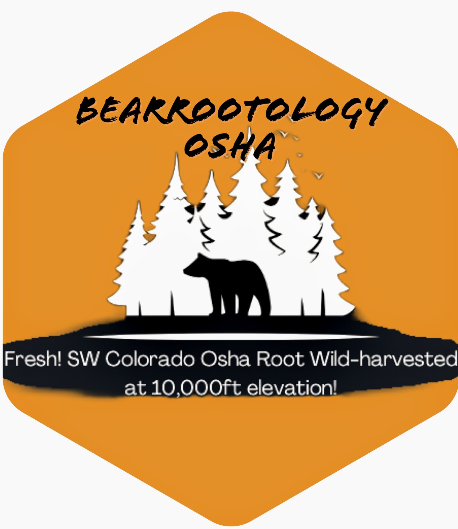 BearRootOlogy OSHA LLC