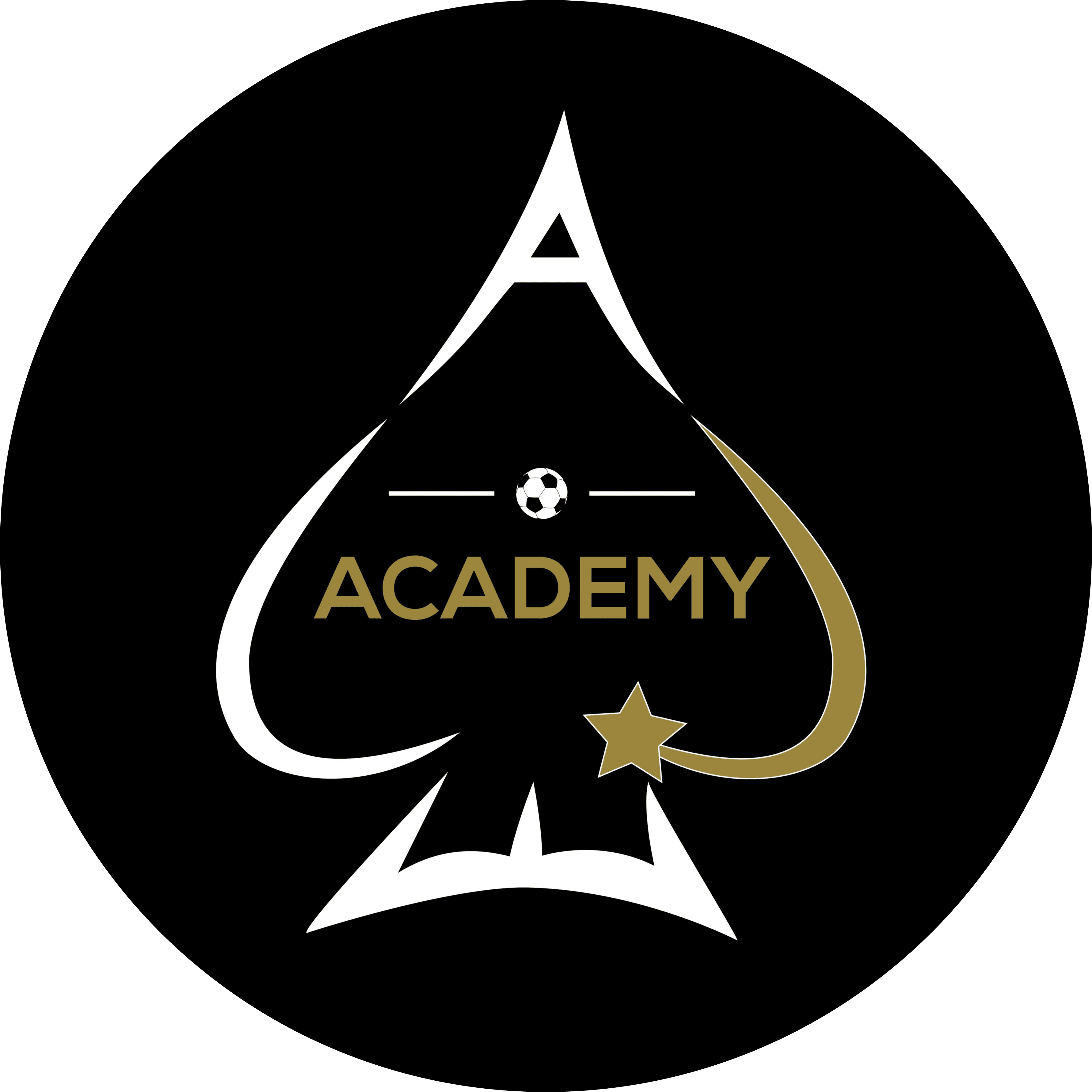 ACE Soccer Academy