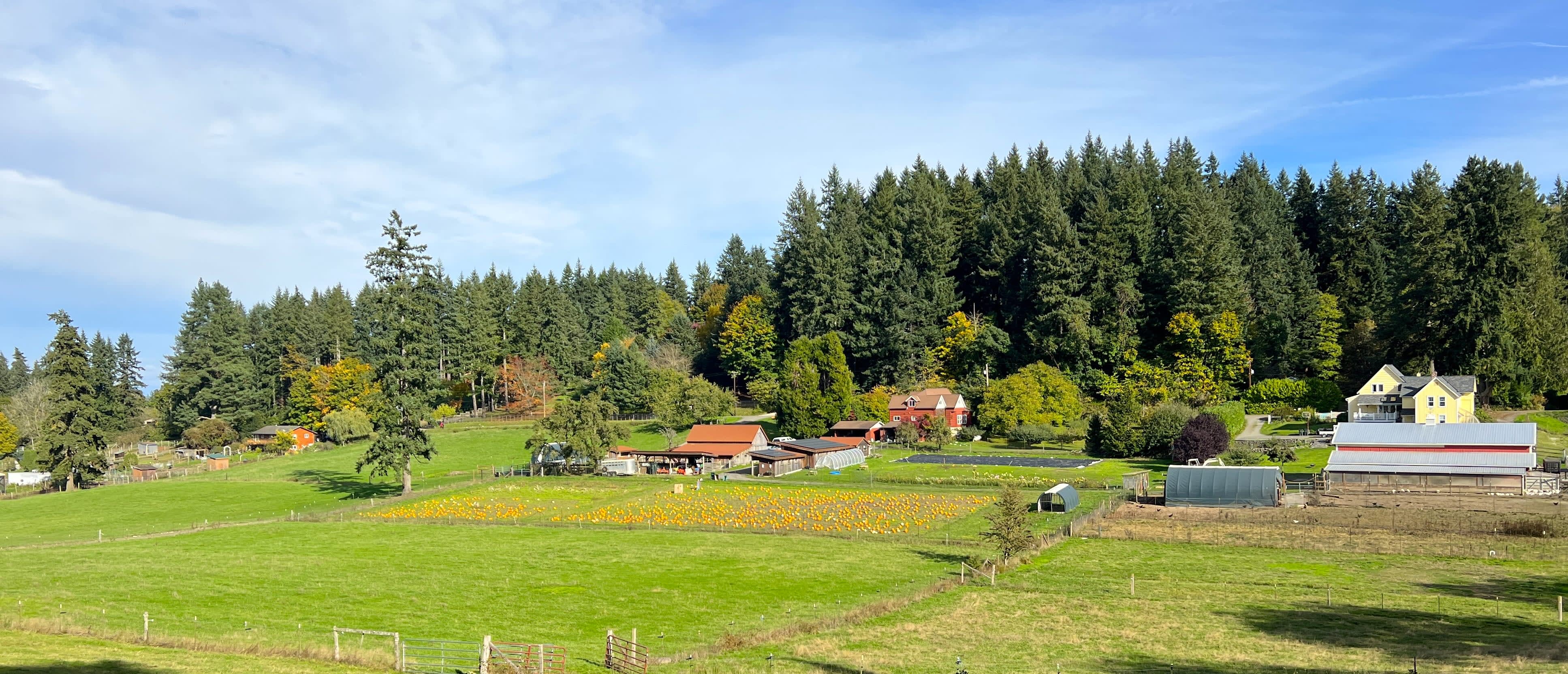 Winney Farm Farm Store Bainbridge Island