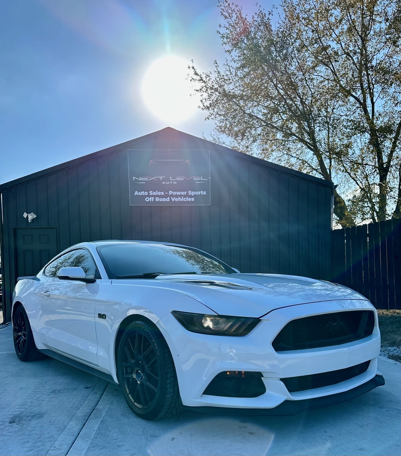 2015 Ford Mustang GT Premium Inventory Next Level Auto Car