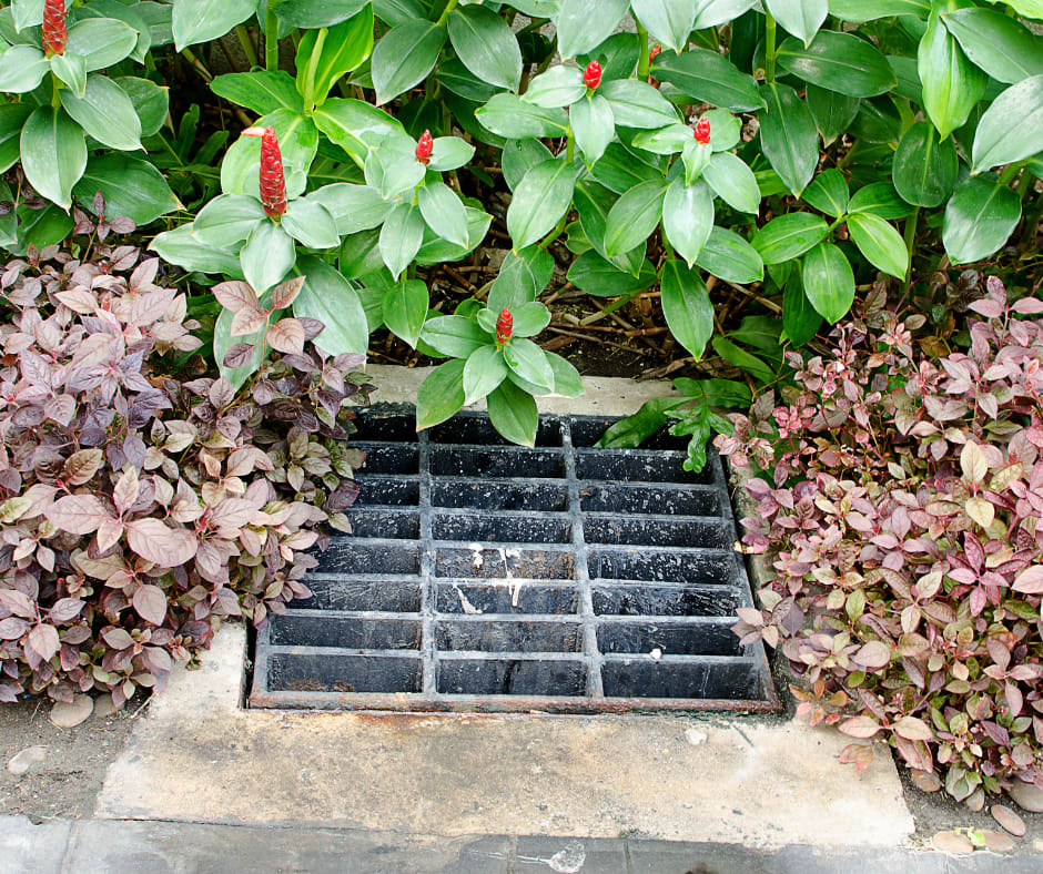 Interior French Drains Our Professional Waterproofing & Repairs Solutions