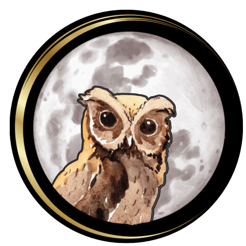 Night Owl Crafts