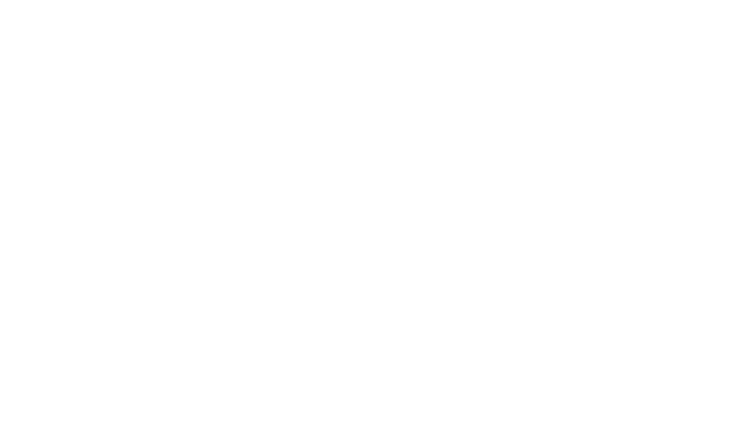 Extraordinary Image LXXV LLC
