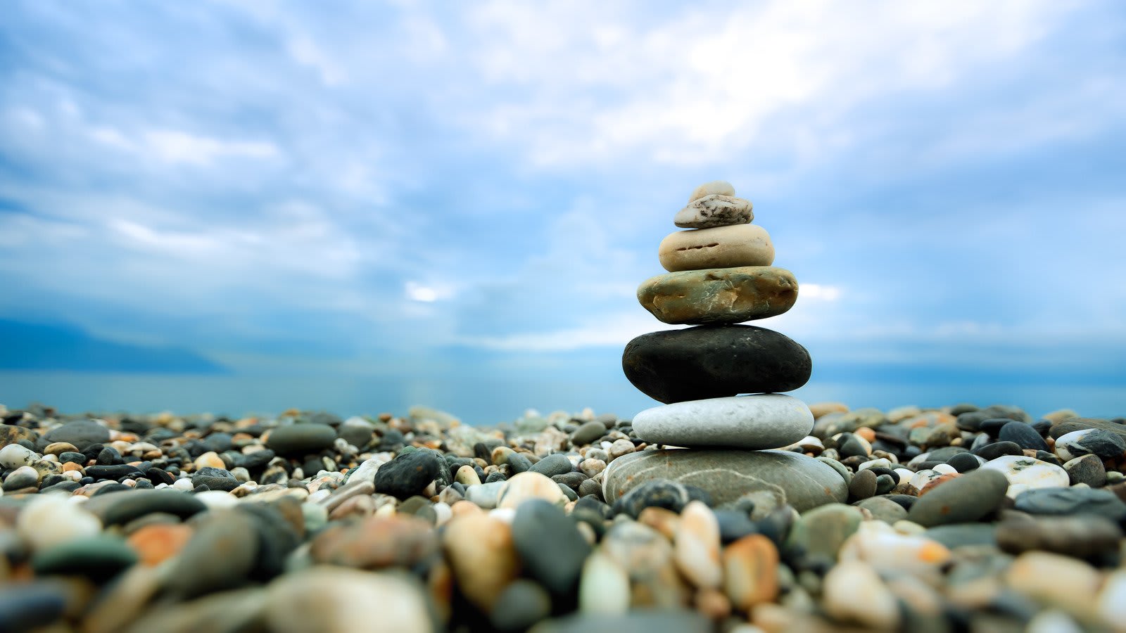 Wellness Hypnotherapy & NLP, Empowering Minds - Transforming Lives