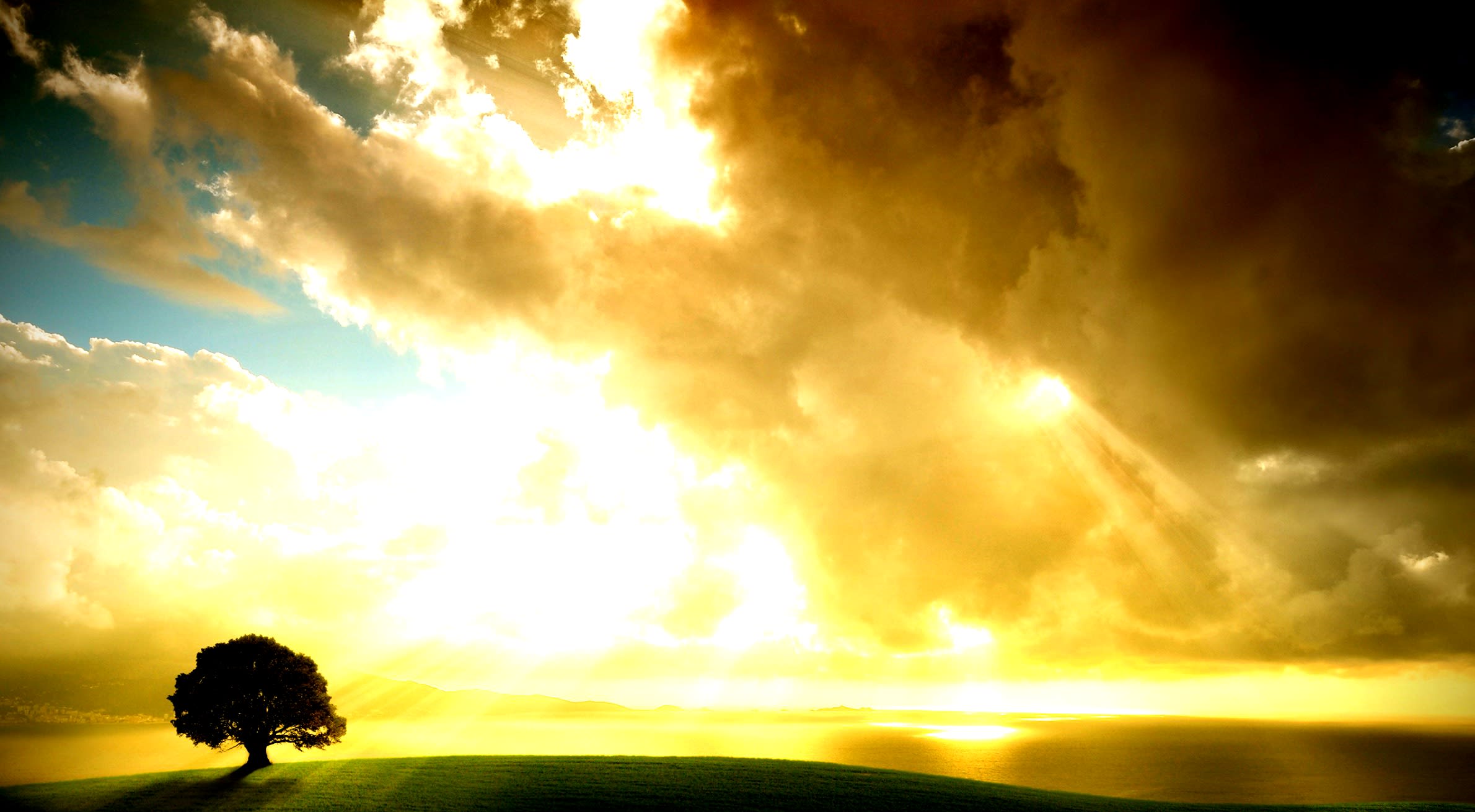 Into the Light
