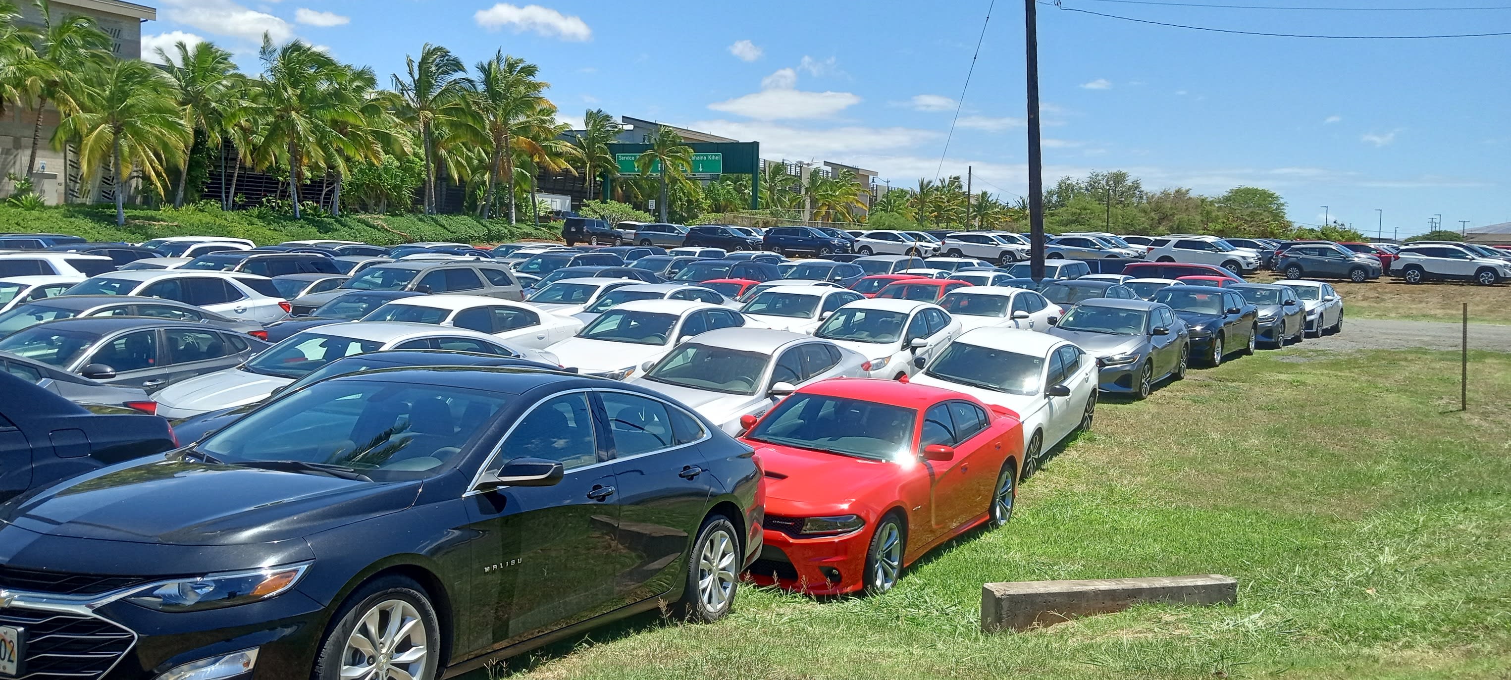 Disaster Strikes Maui