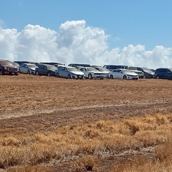 Maui Rental Car Surplus Continues