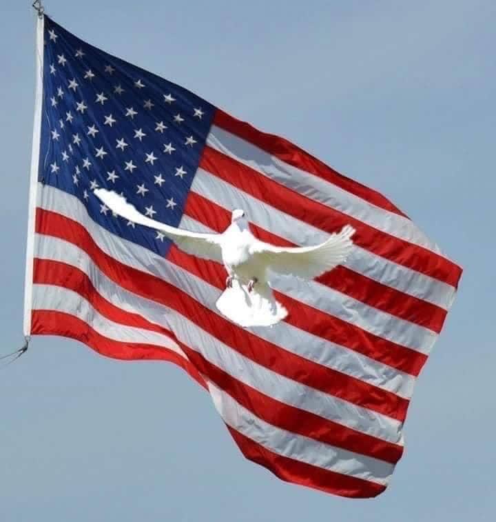 White Dove Releases For Weddings Laramie Lofts Peoria, IL