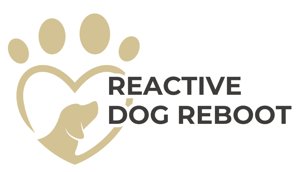 Reactive Dog Reboot