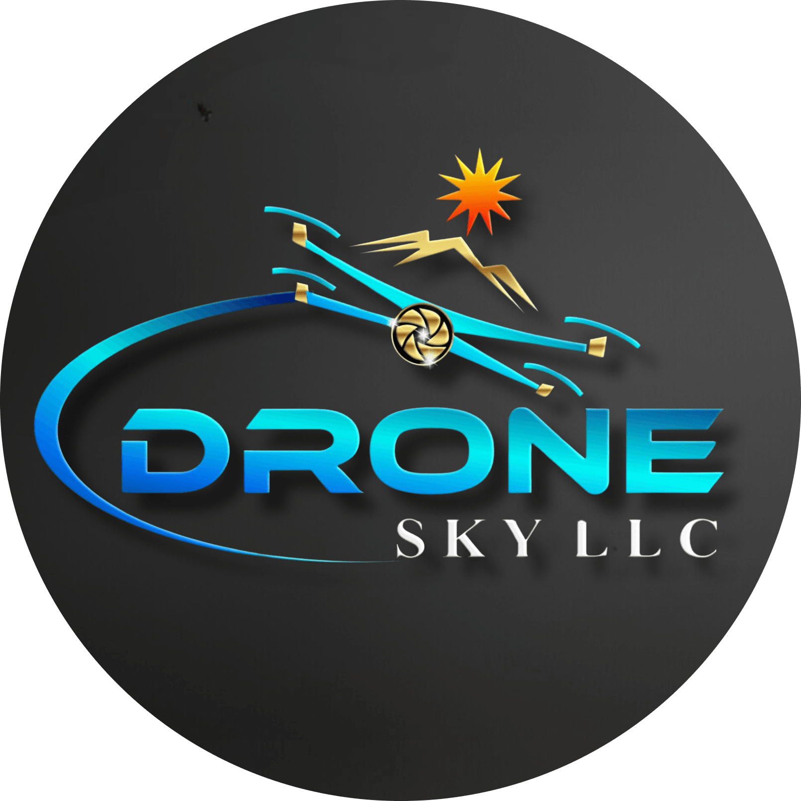 Drone Sky LLC