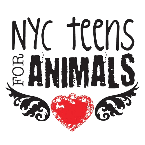 NYC Teens for Animals Inc.