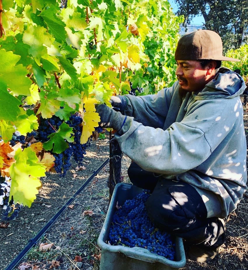 Discover Our Exceptional Beverages Apex Custom Beverage