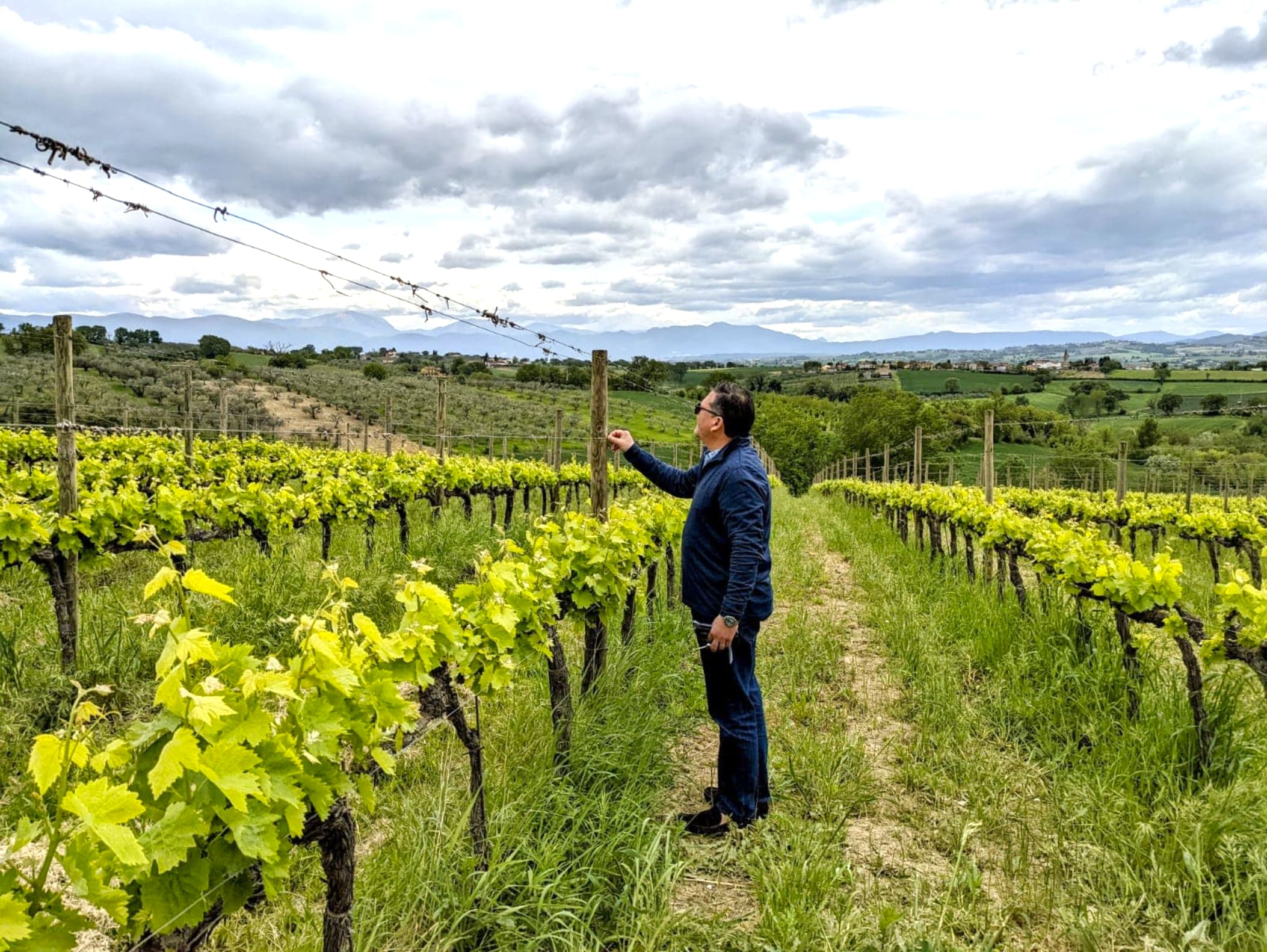 Apex Custom Beverage Exporters & Distributors of Beverages Caribbean