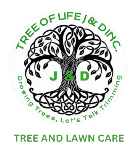 Tree of Life J & D