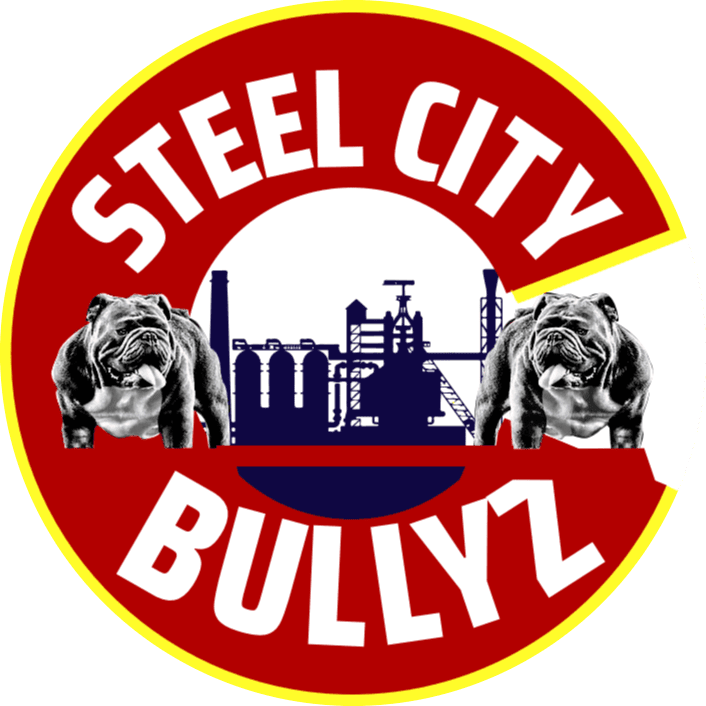 Steel City Bullyz