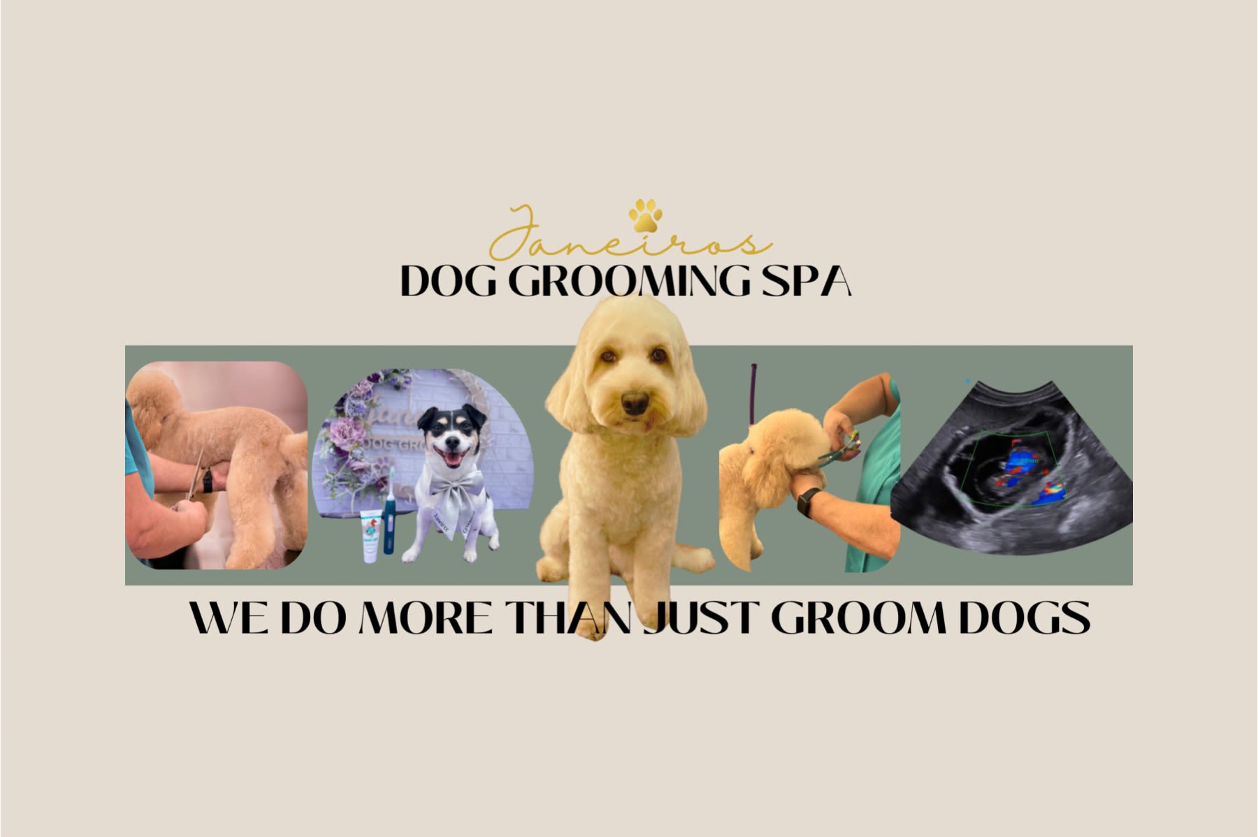 Janeiros Dog Grooming & Ultrasound Scan Pet Services Doncaster