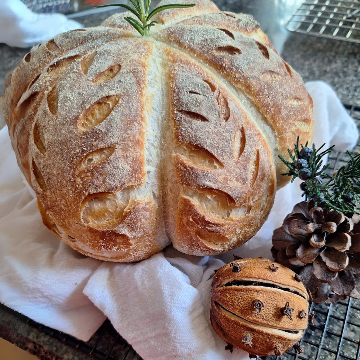 Sourdough Bread Gluten Free Buckwheat Bread Machine Recipe