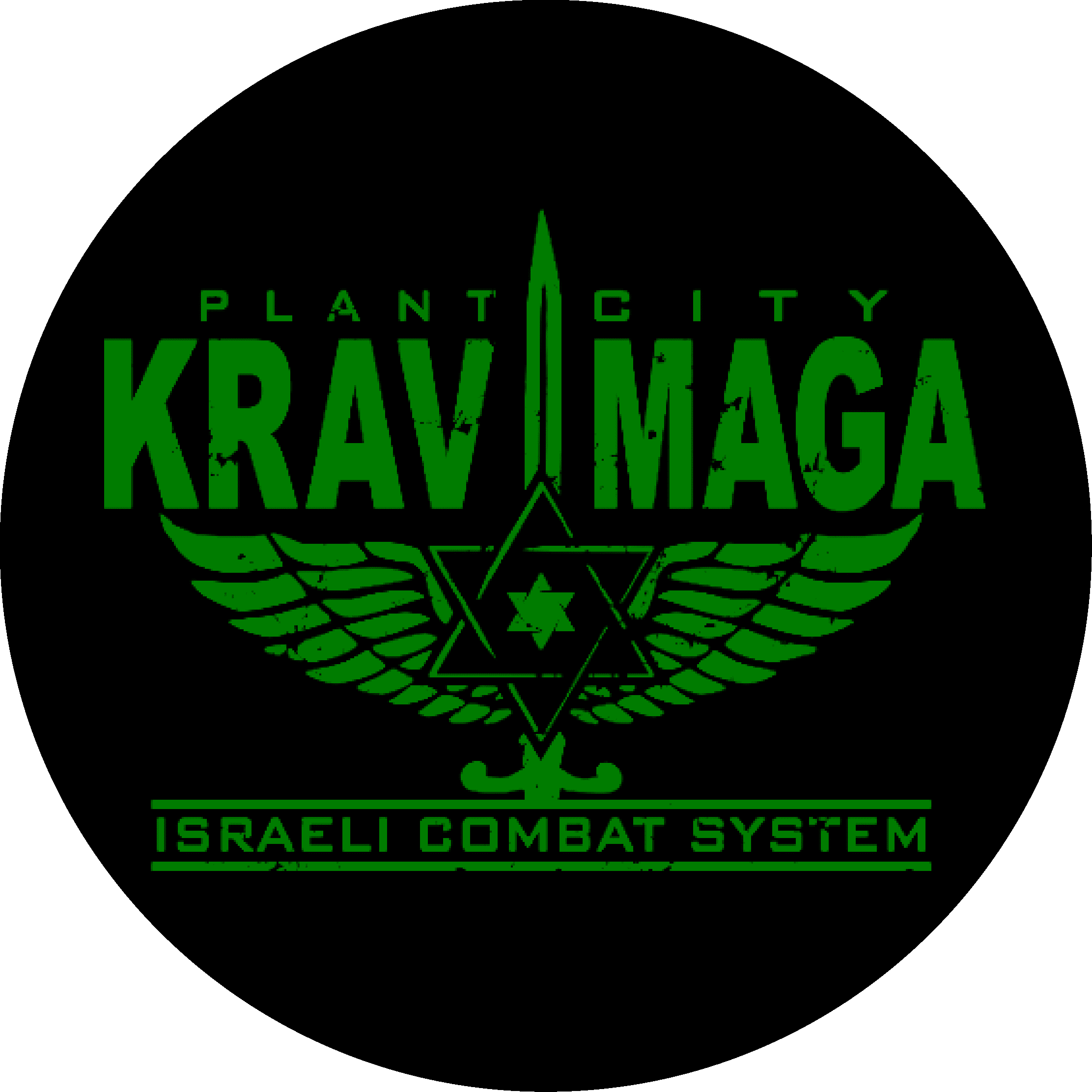 Plant City Krav Maga