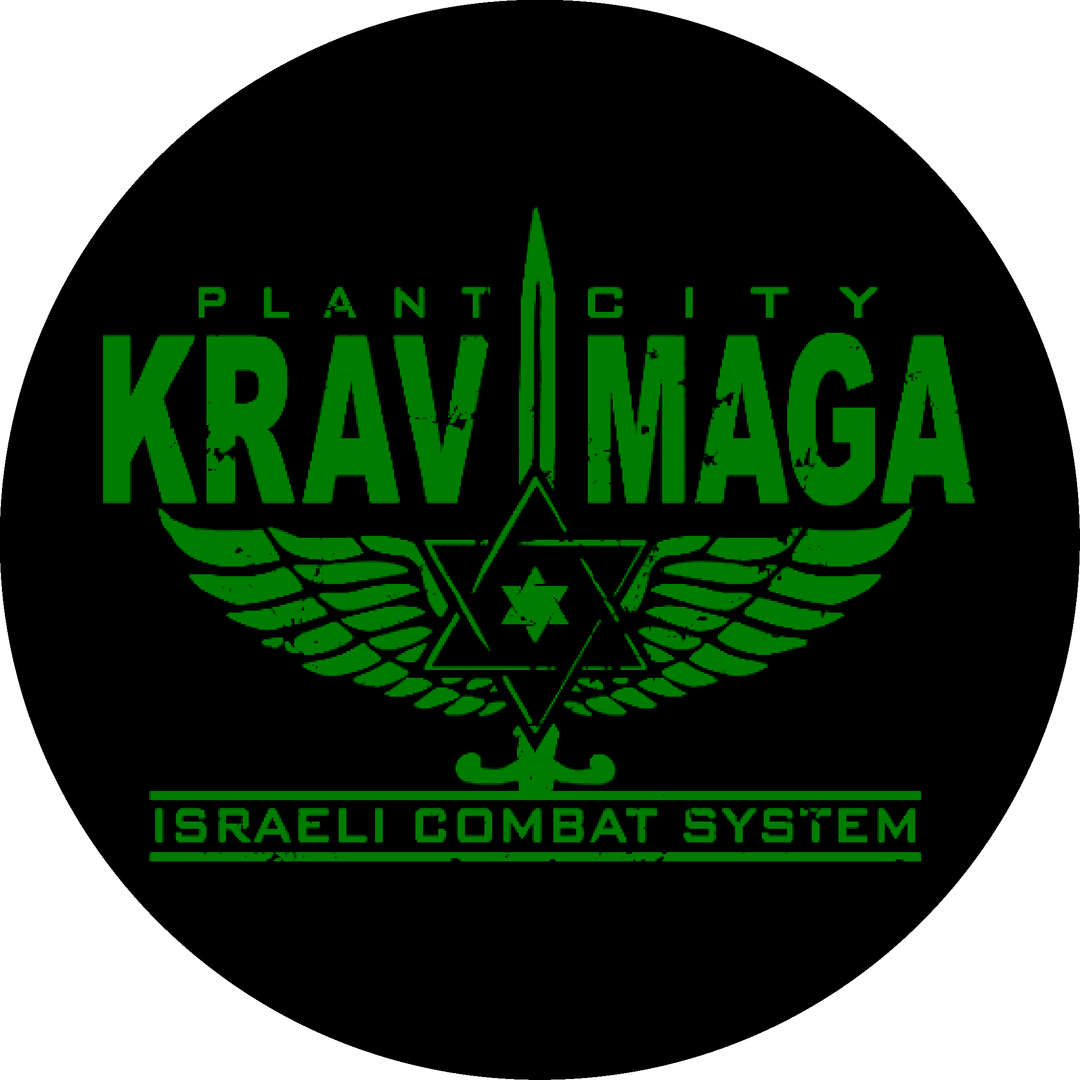 Plant City Krav Maga Self Defense And Fitness Plant City