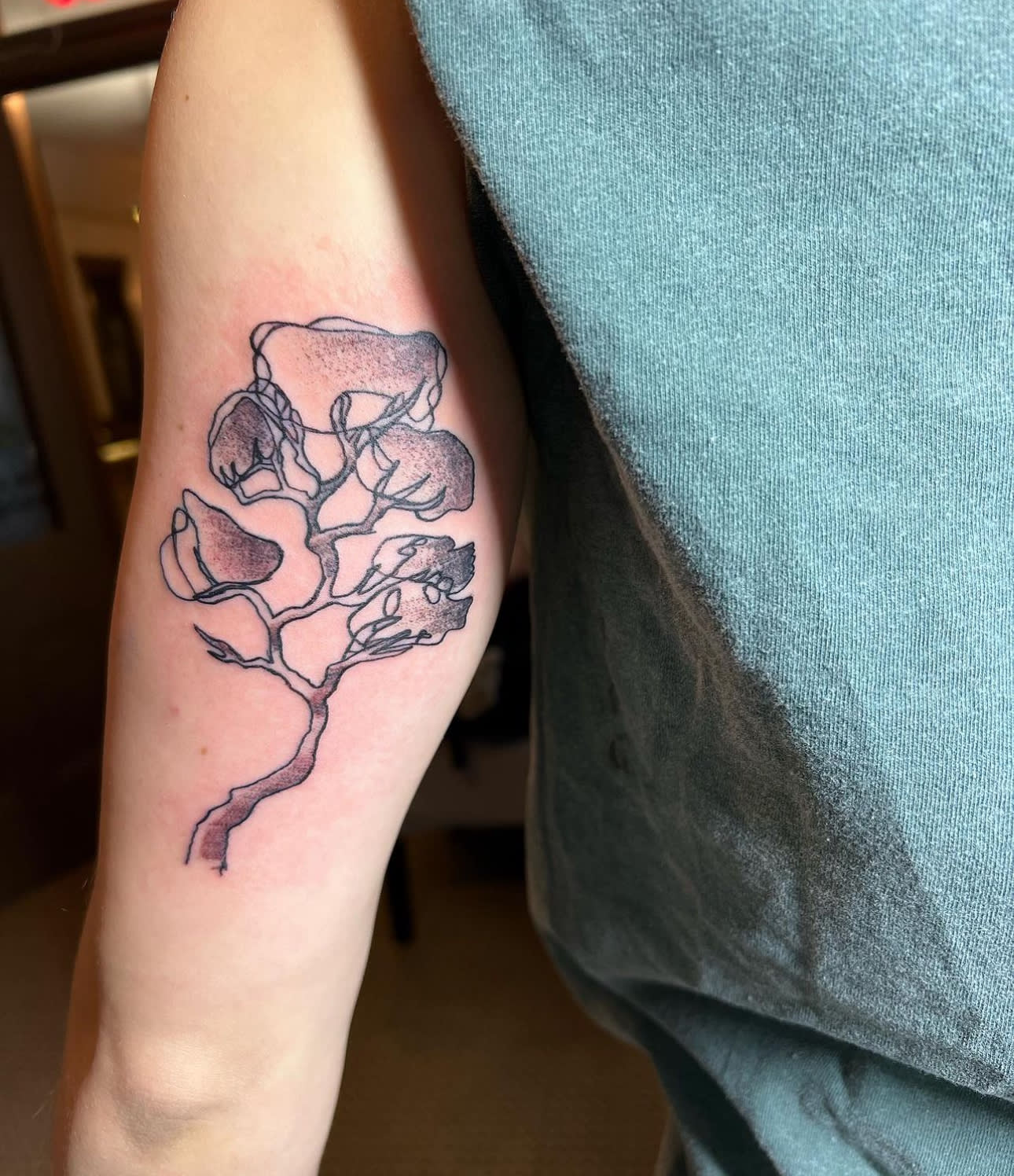 Tiny Tatts - Magnolia - Tiny Tatts - Magnolia tattoo Temporary Tattoos |  Momentary Ink