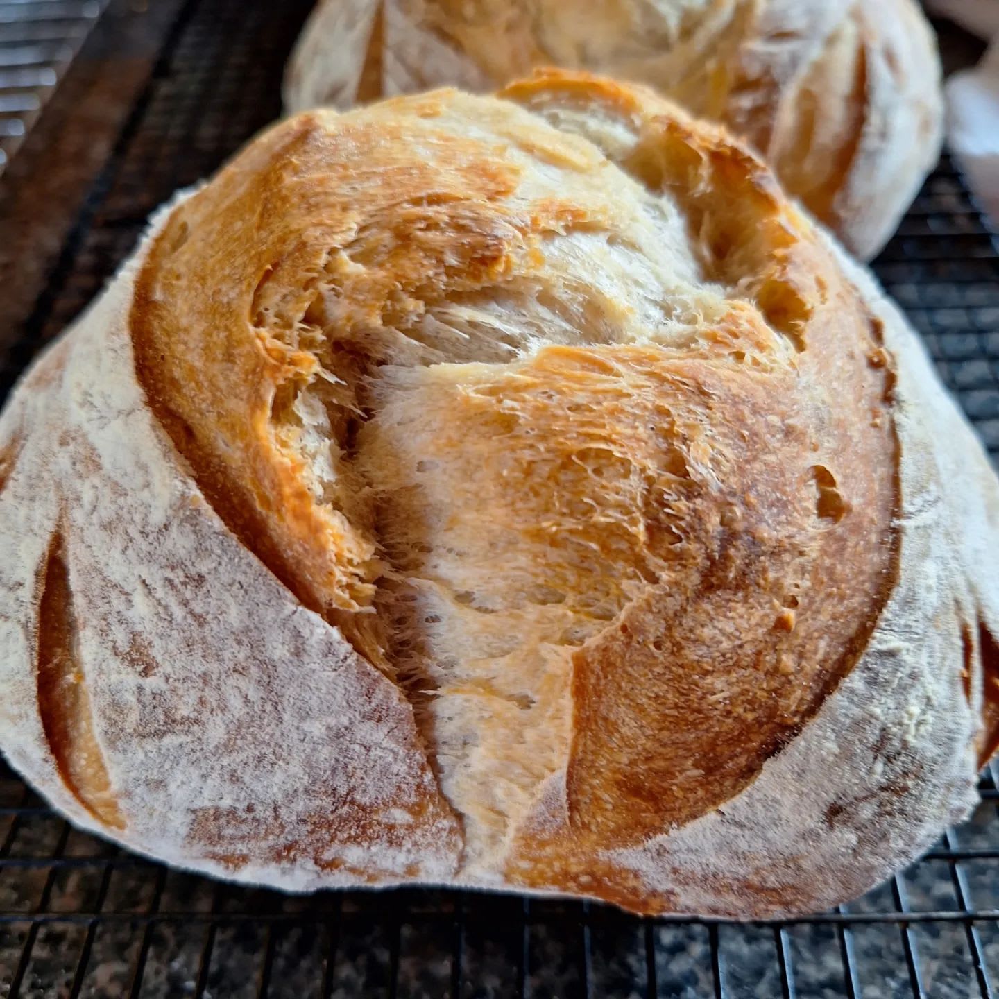 Authentic sourdough bread with inclusions fillings breads simple