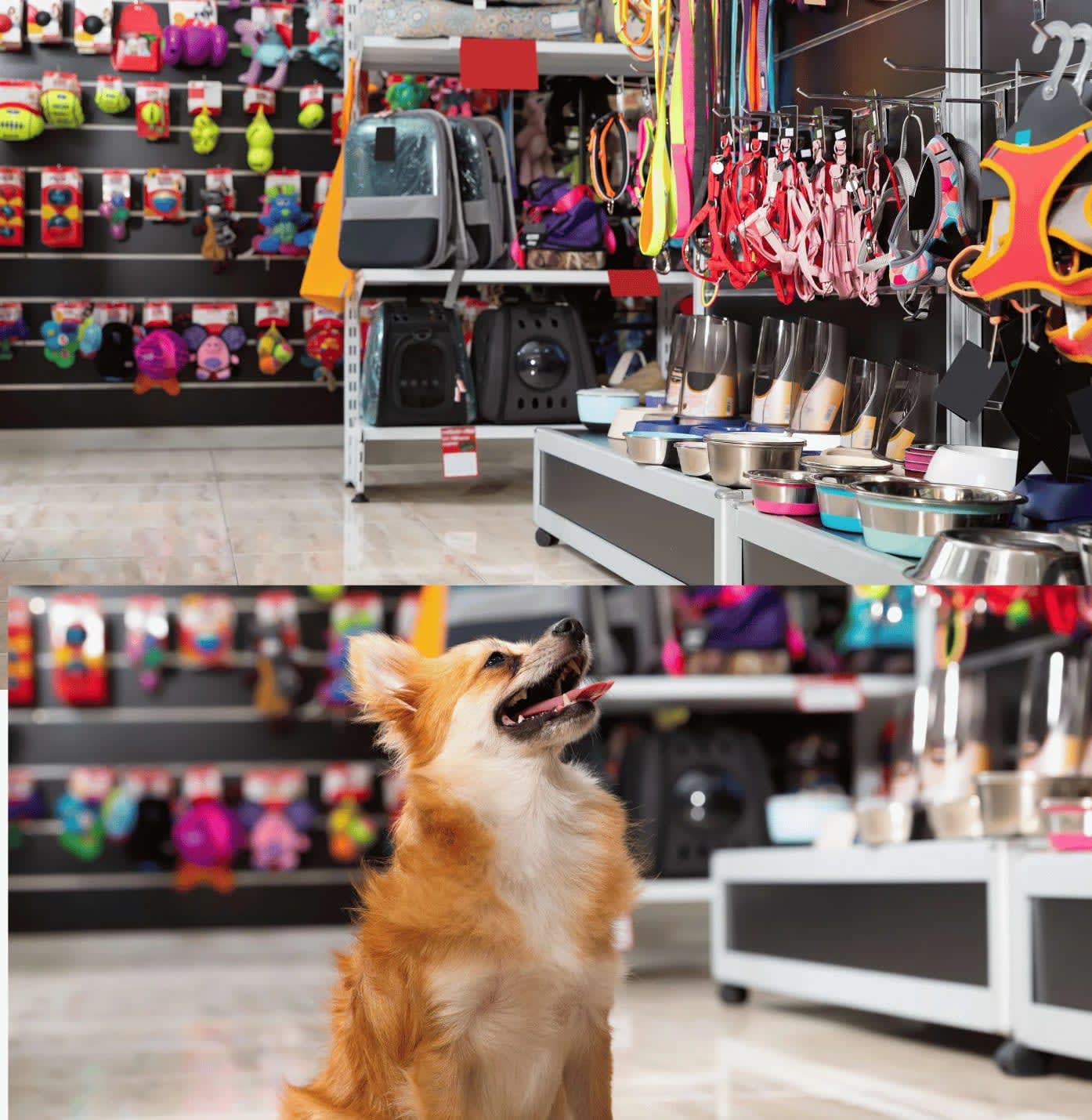 Petkko Pet Store in Marbella