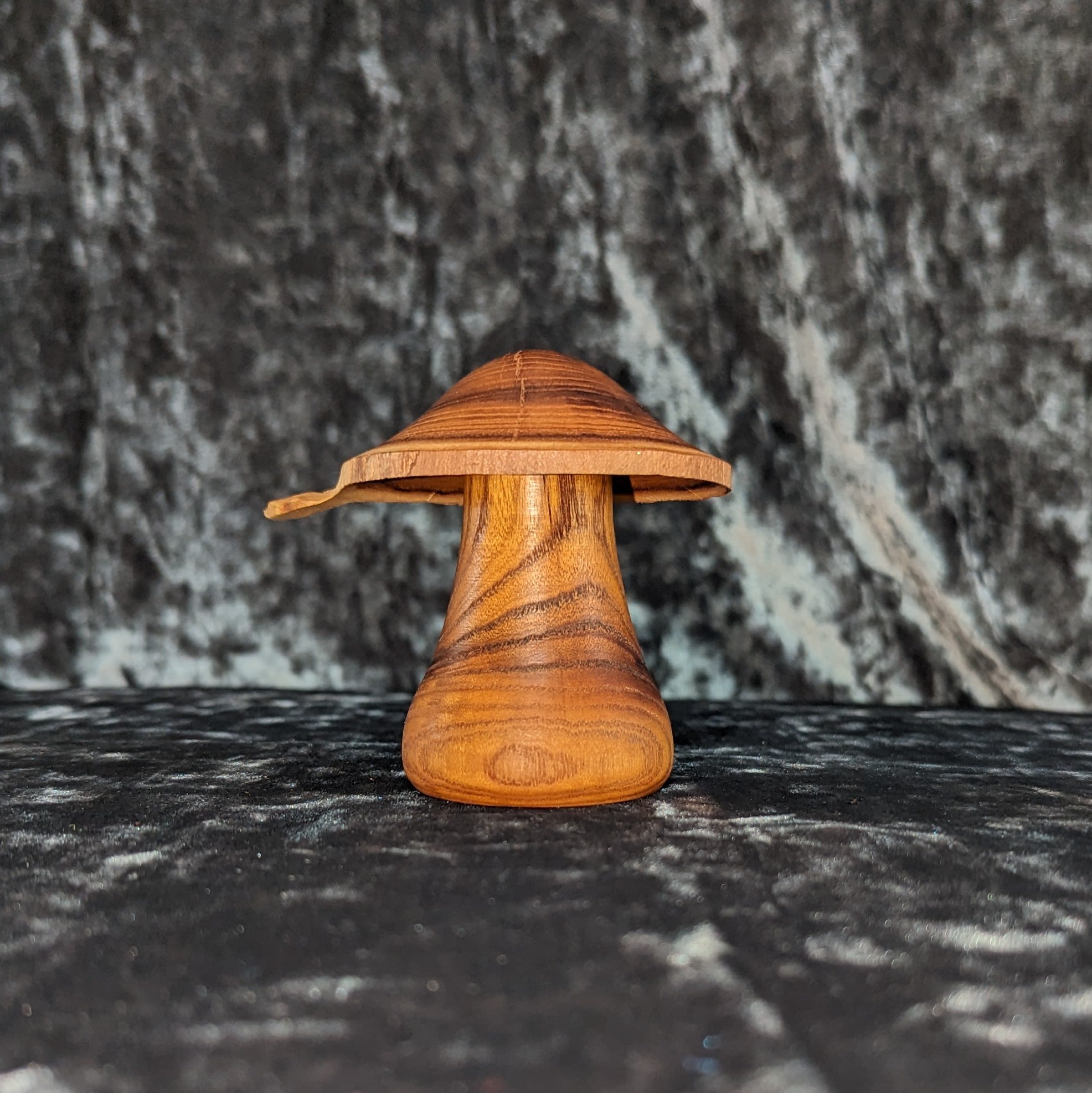 Mimosa Silk Wood Mushroom - Mushrooms - Serene Being Works
