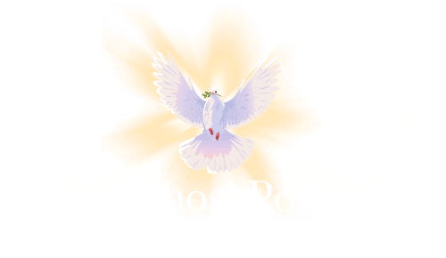 Holy Ghost Powered Ministries