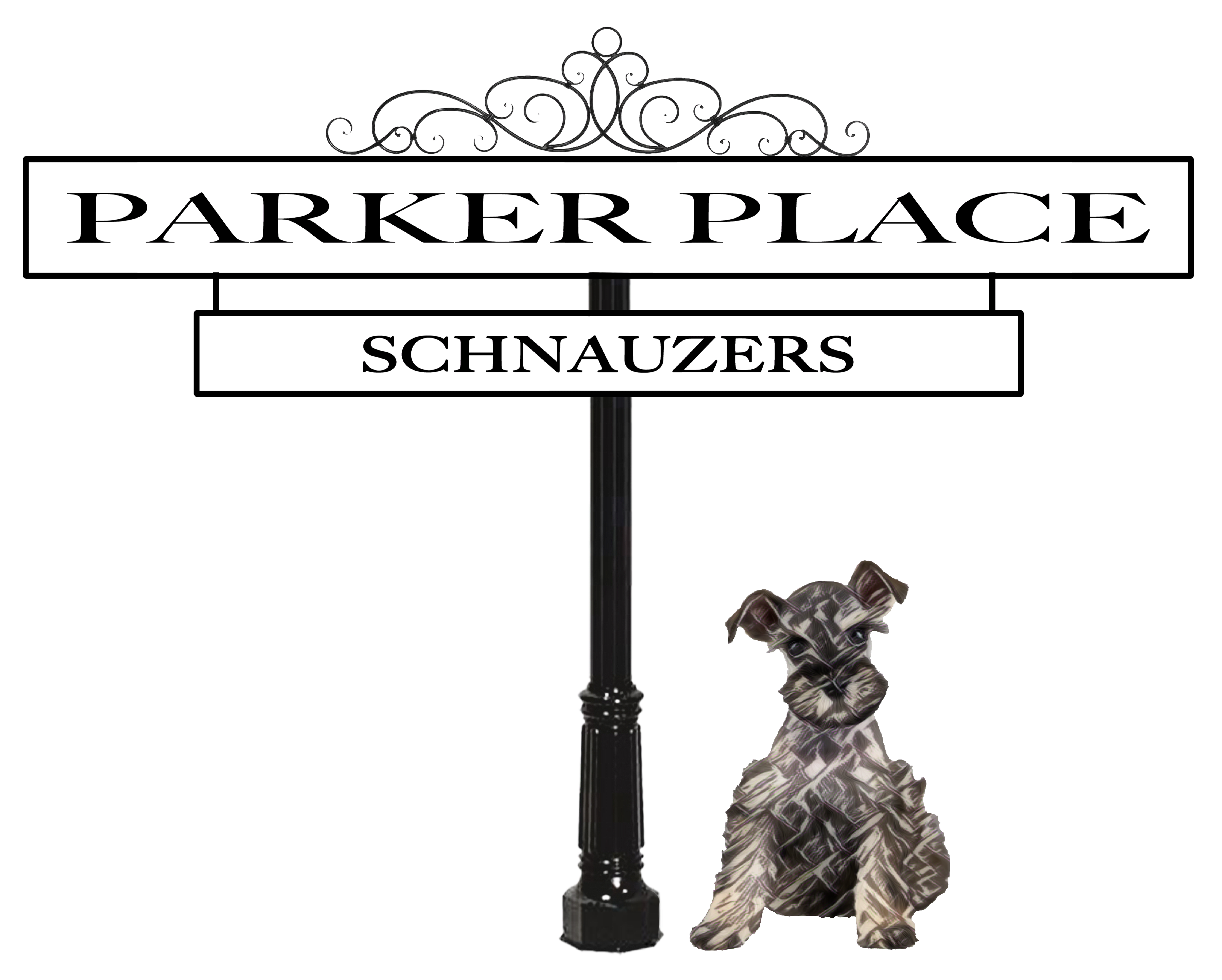 Parker Place Schnauzers