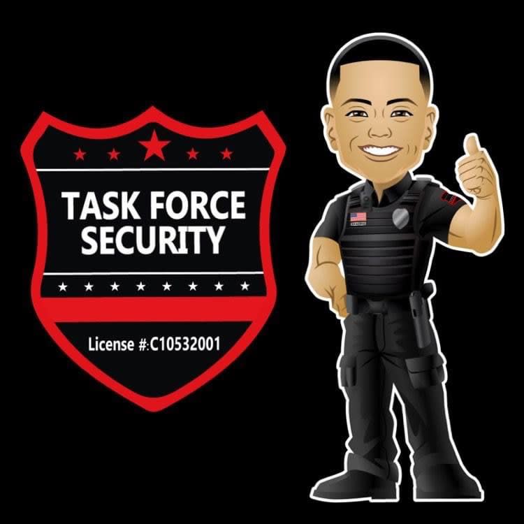 Task Force Security