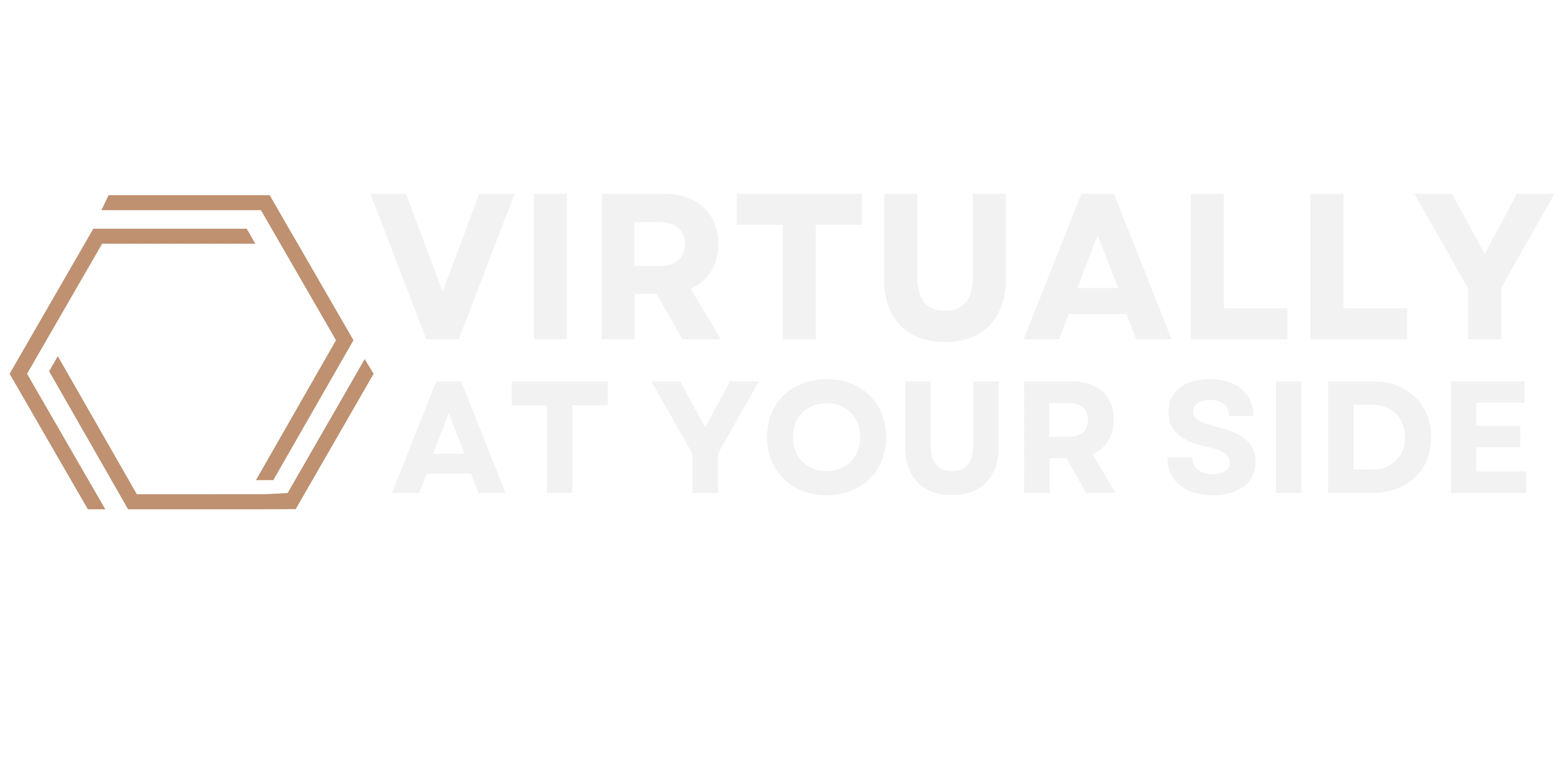 Virtually At Your Side