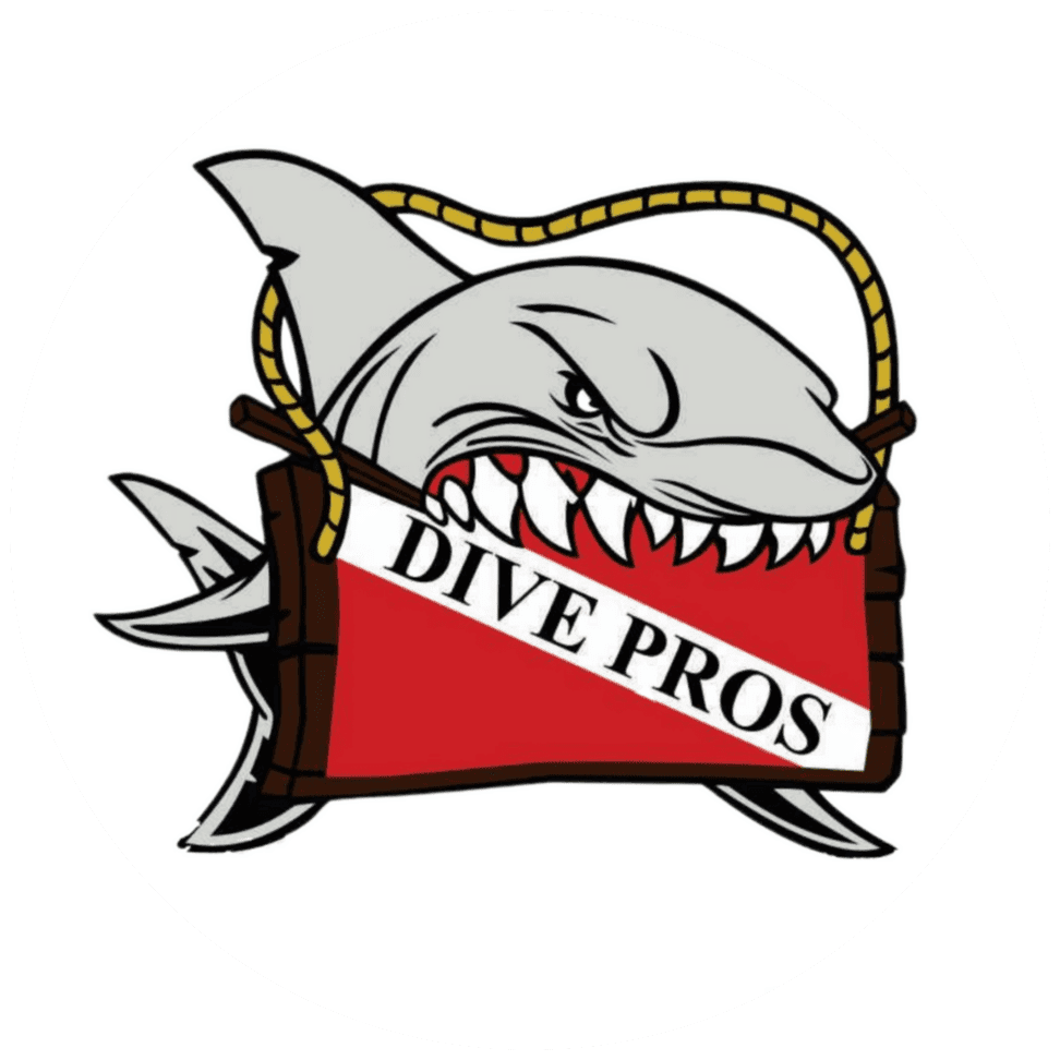 Dive Pros Ltd Co.
