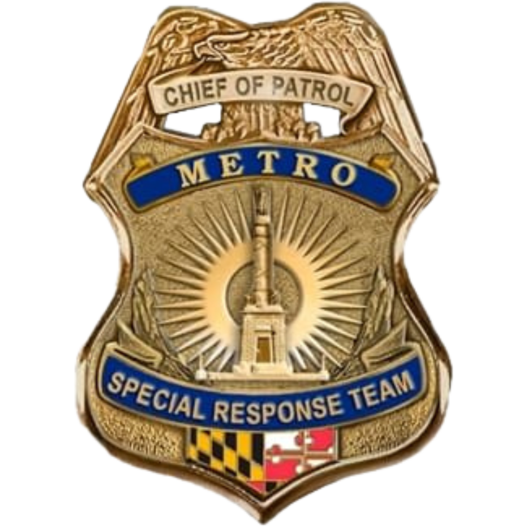 Metro Protective Services and Investigations