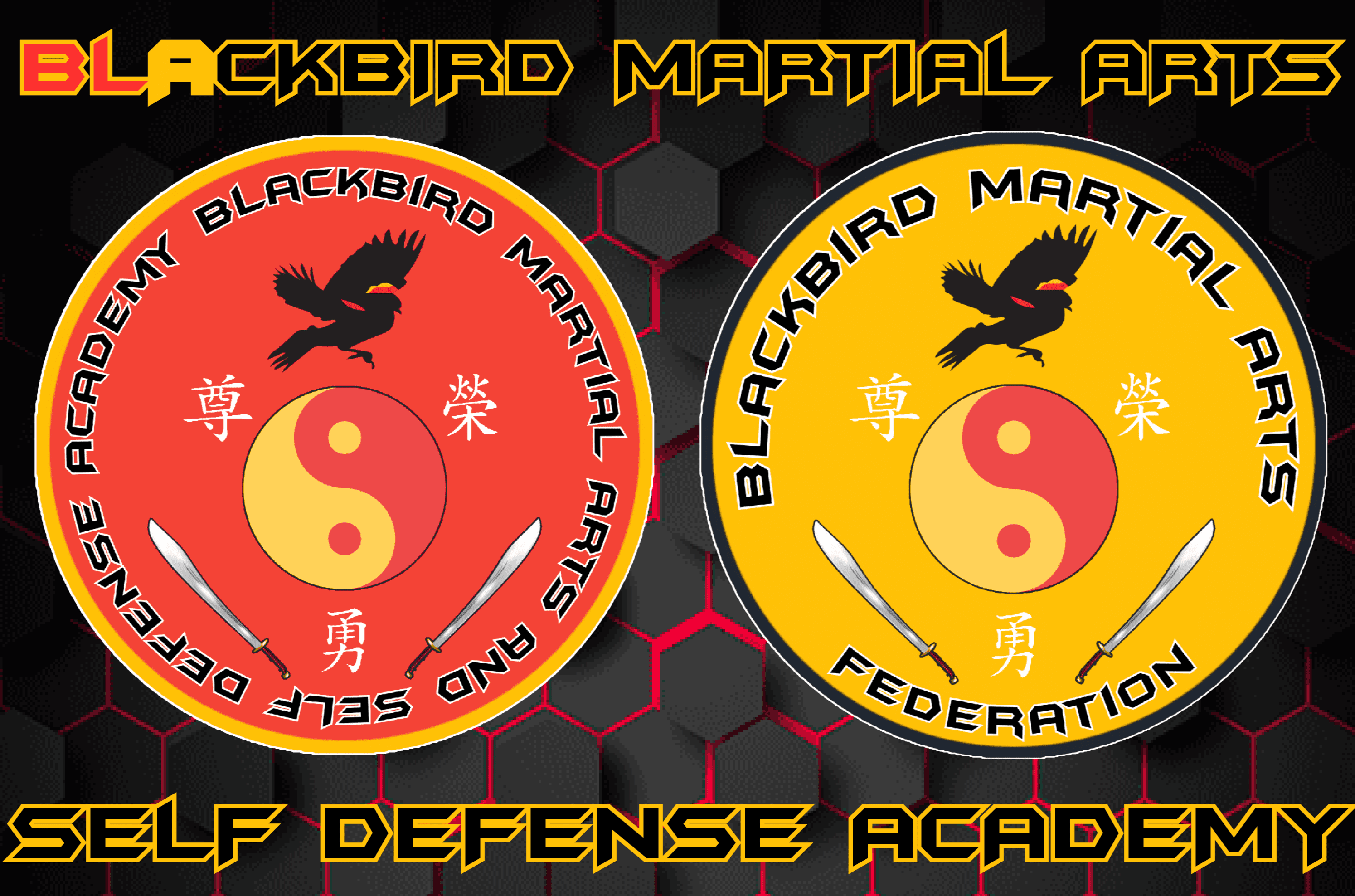 BlackBird Fitness Massillon Fit, Self Defense & Martial Arts School