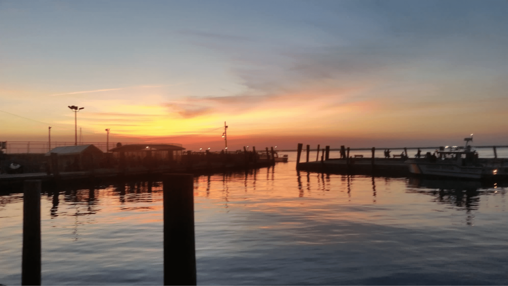 Long Island Bed Bug Exterminators Pest Control Garden City