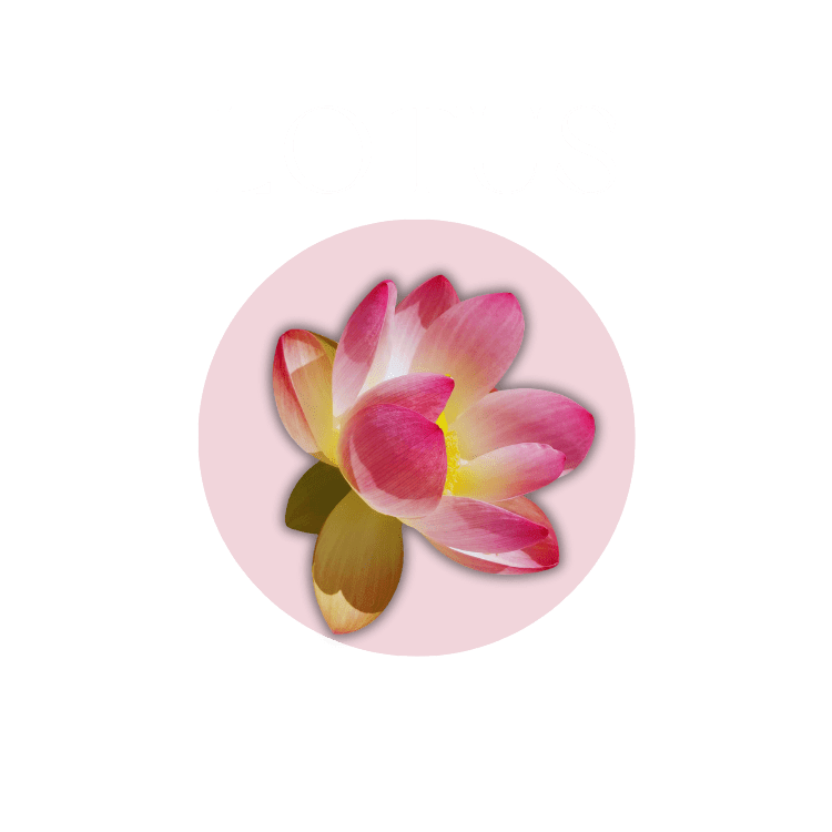 Lotus Physical Therapy for Women