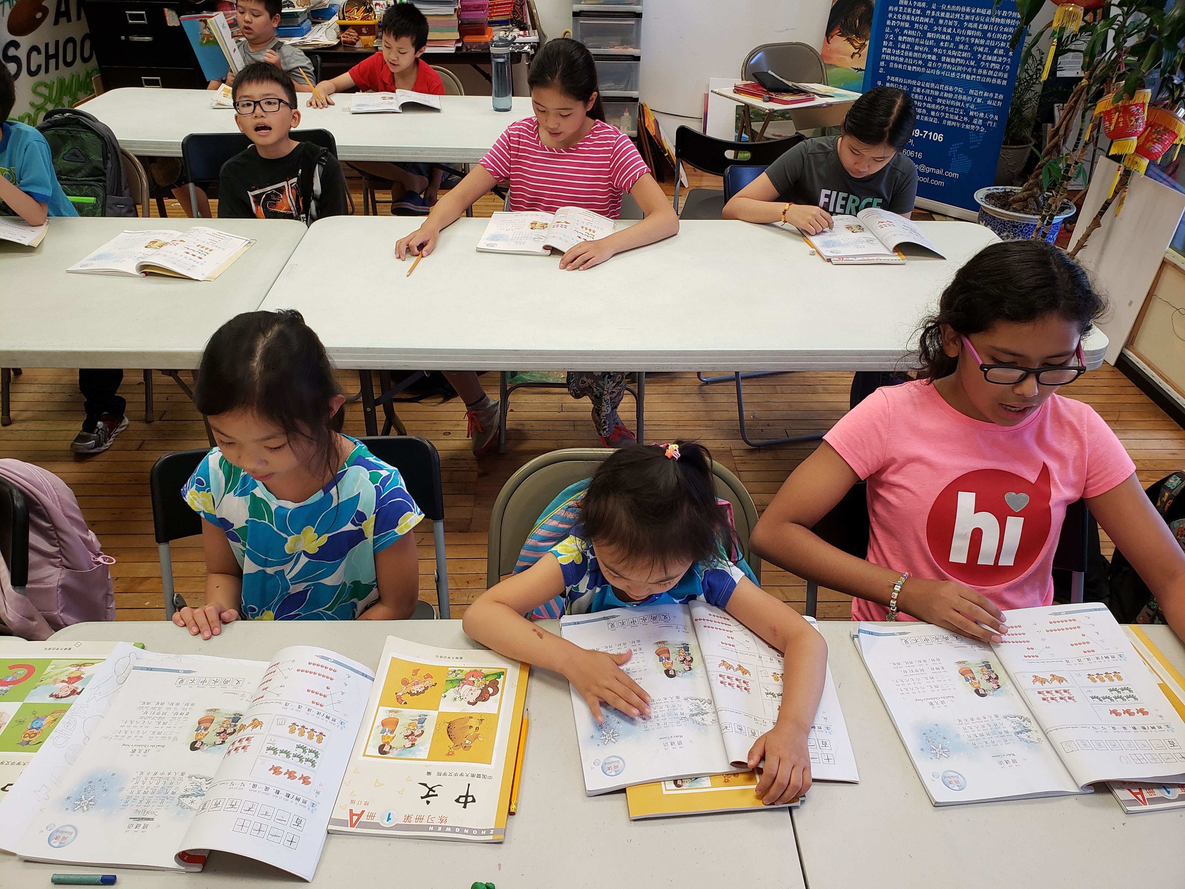 CHINESE LESSONS CLASS visual data 2