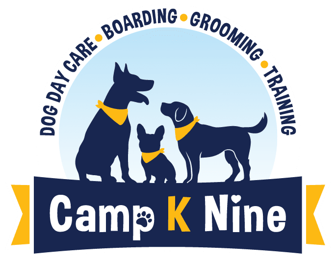 Camp K Nine Dog Training Academy