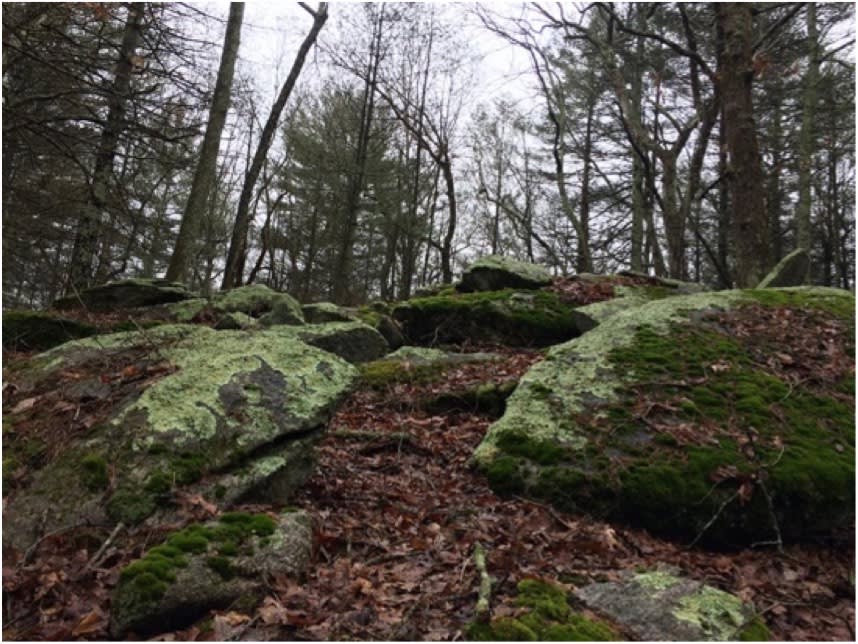 Rock of Refuge