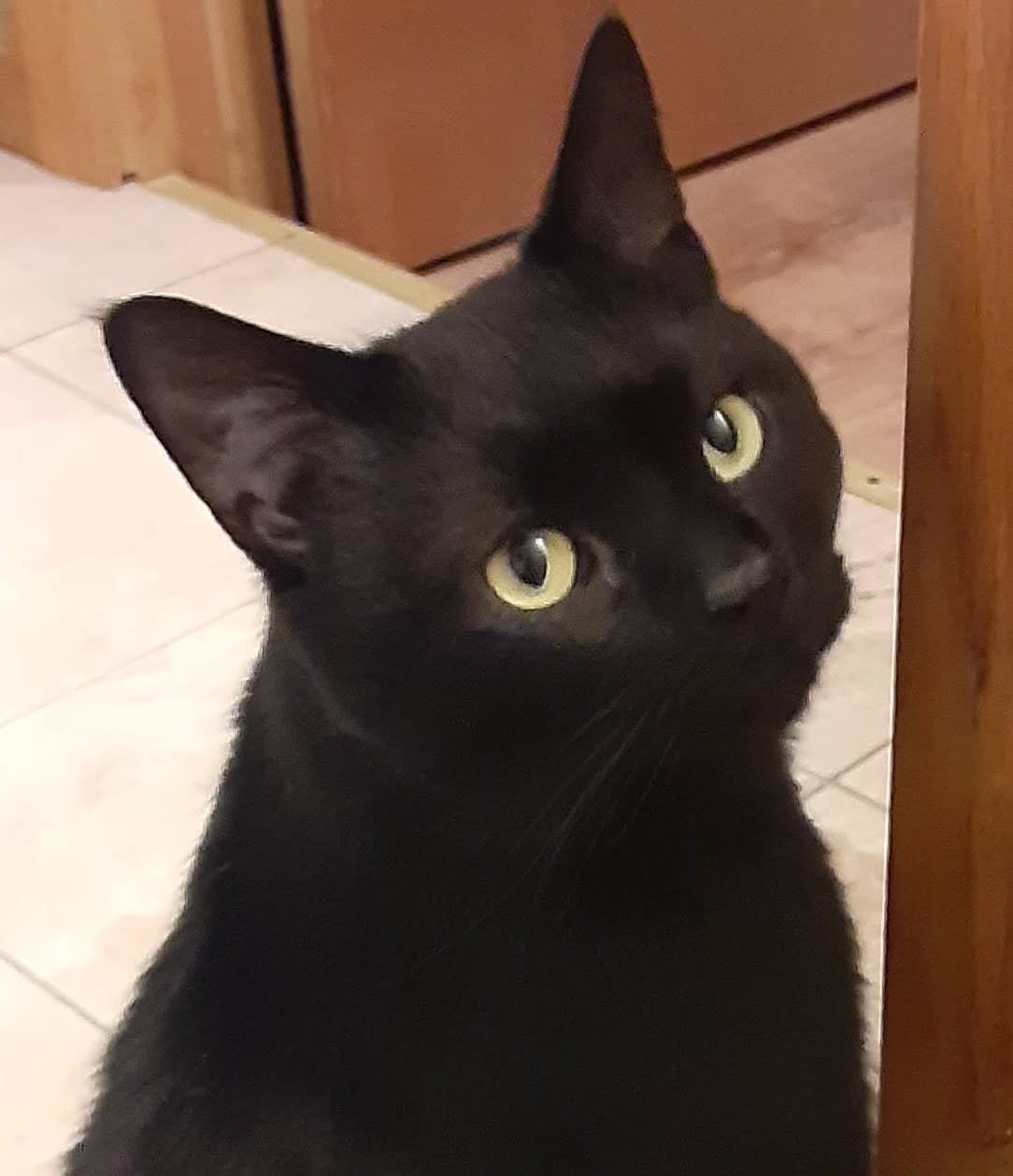 Section background image