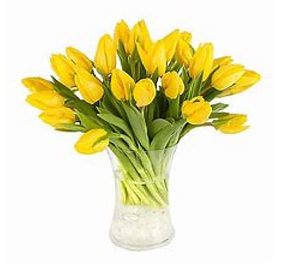 Tulip Arrangement Tulips Colour Me Floral Shoppe and Events First