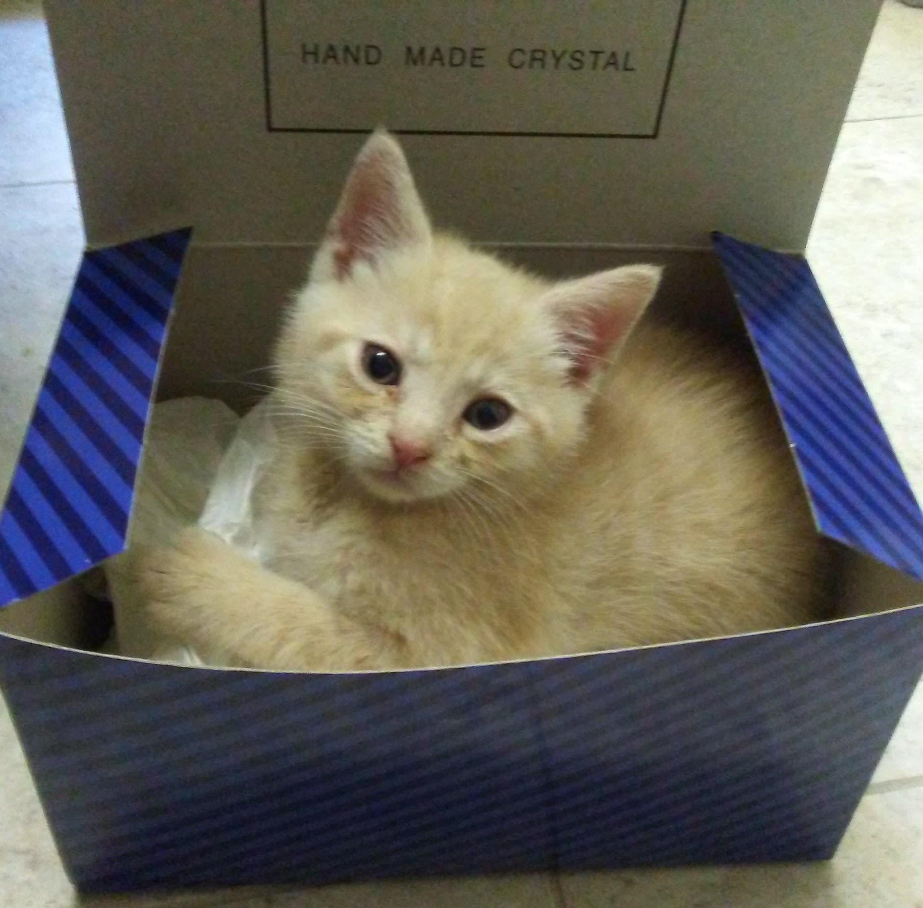 Section background image