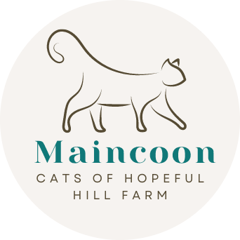 Maincoon Cats of Hopeful Hill Farm, LLC