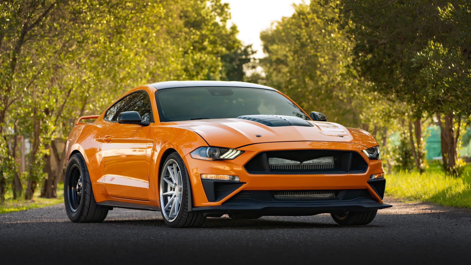 Bills Professional Auto Detailing — car detailing in Eugene
